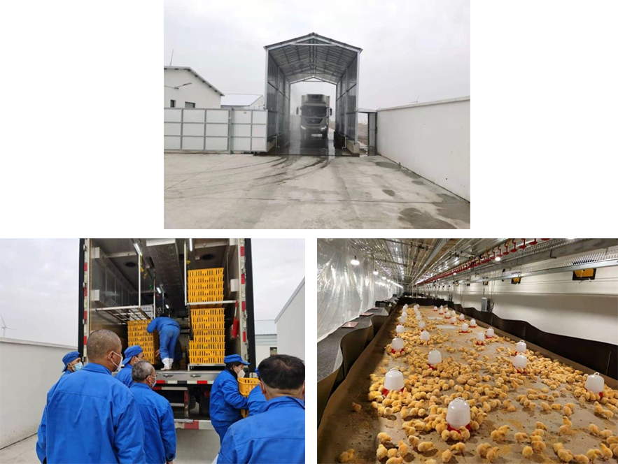 ��������³�  ���������߲�����Hjc gcgc08�����綫�ֹ�˾��ʽͶ��