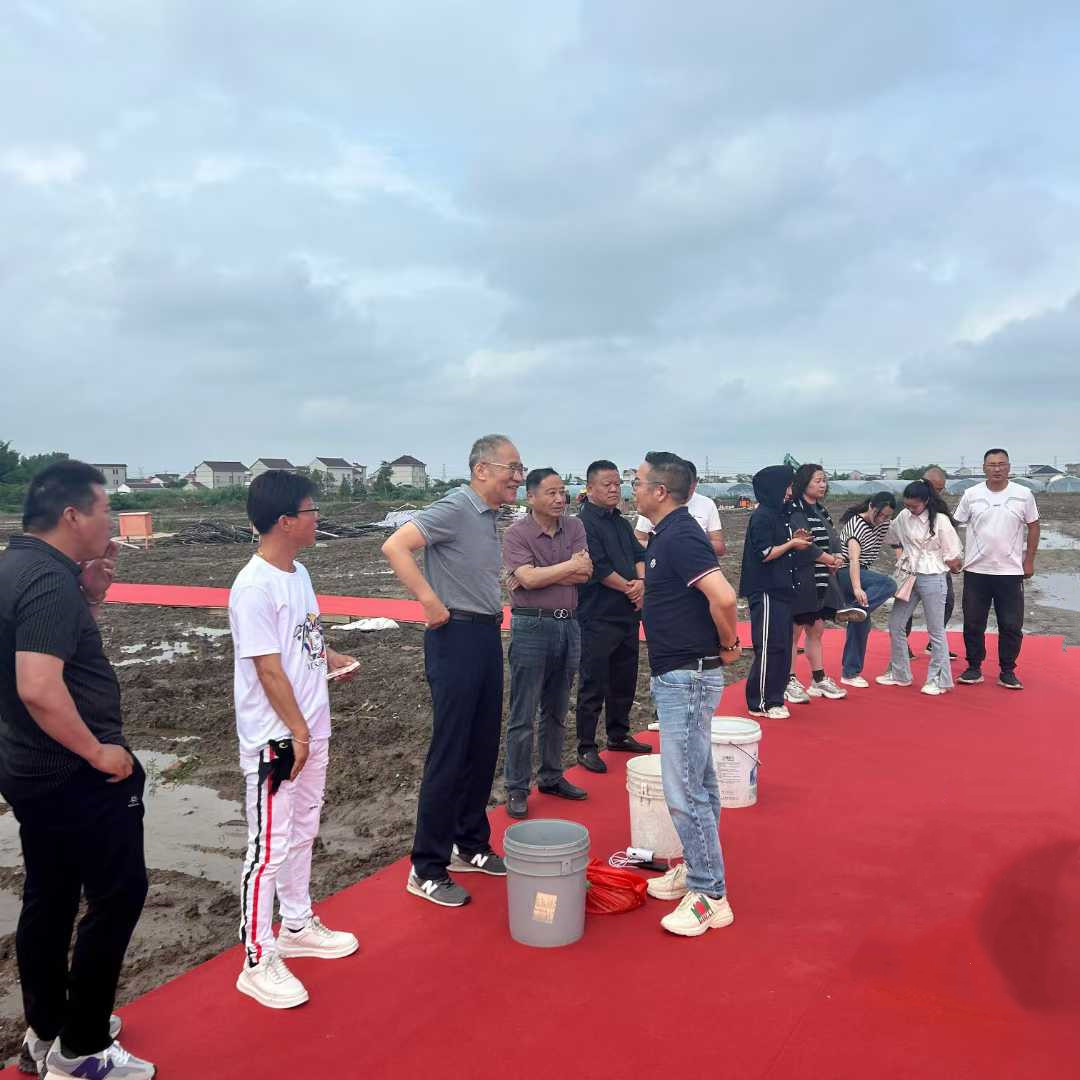 Ͷ��5326��Ԫ��Hjc gcgc08���š����ϼ�������Ŀ��������