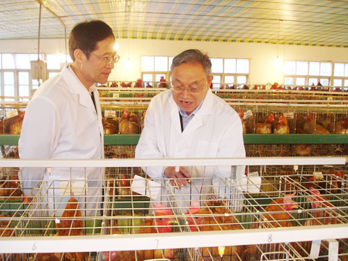 201054171545685 201054171545685