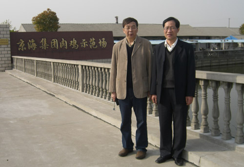 201071282416529 201071282416529