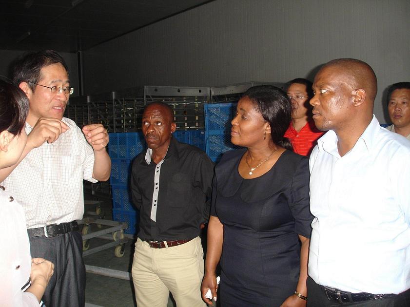 2012829105351399 2012829105351399