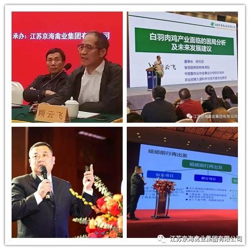 gcgc08�ƽ��,hjc26.cc�ƽ�Ǽ���