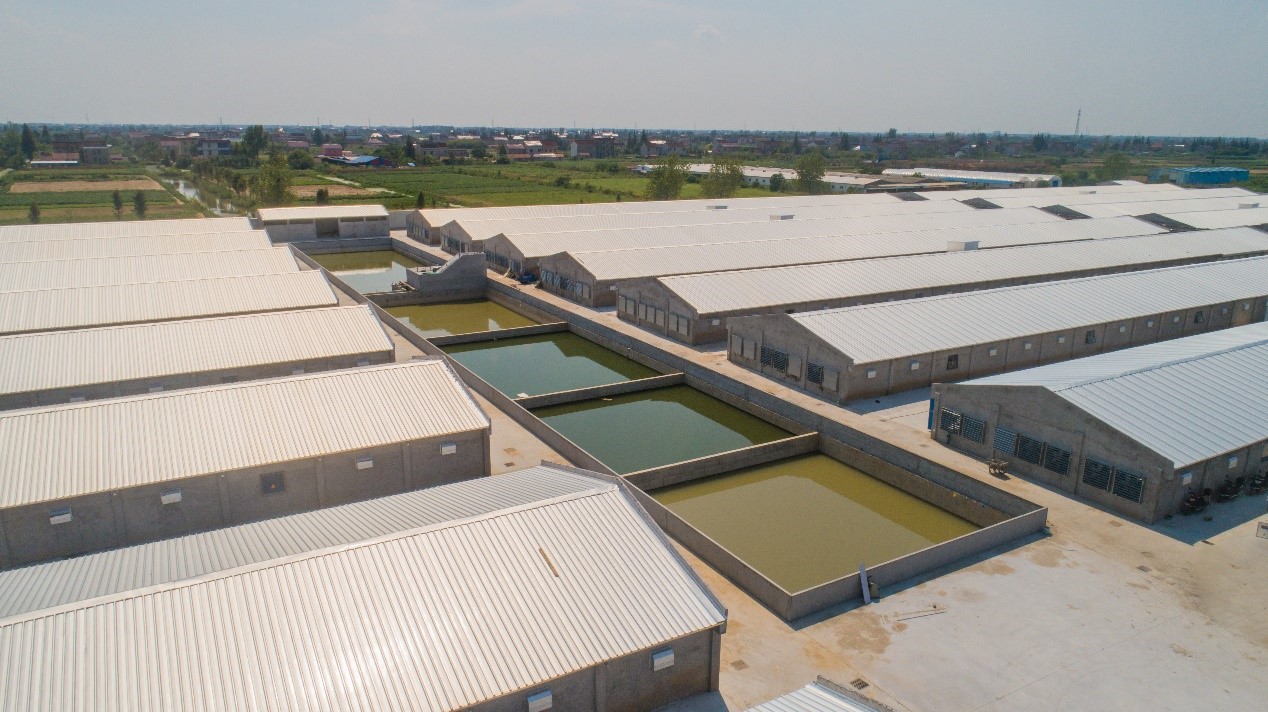 gcgc08�ƽ��,hjc26.cc�ƽ�Ǽ���