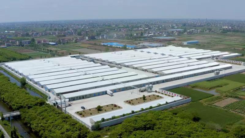 gcgc08�ƽ��,hjc26.cc�ƽ�Ǽ���