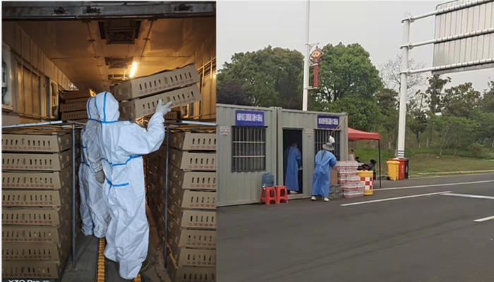 gcgc08�ƽ��,hjc26.cc�ƽ�Ǽ���