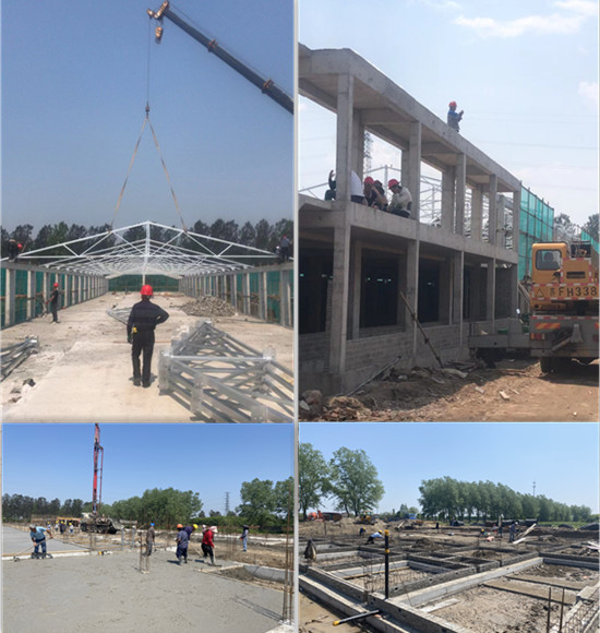 gcgc08�ƽ��,hjc26.cc�ƽ�Ǽ���