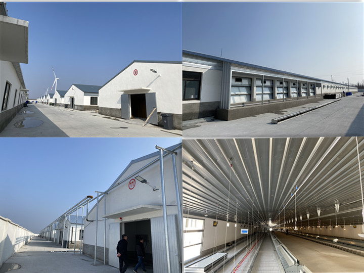 gcgc08�ƽ��,hjc26.cc�ƽ�Ǽ���