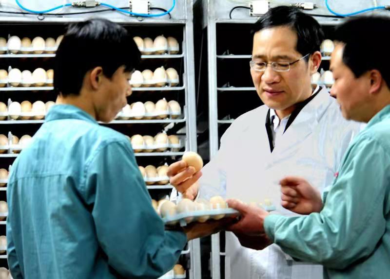 1-2206100SAb63 gcgc08»Æ½ð³Ç,hjc26.cc»Æ½ð³Ç¼¯ÍÅ