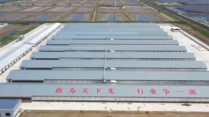 1-2209131G521396 gcgc08»Æ½ð³Ç,hjc26.cc»Æ½ð³Ç¼¯ÍÅ