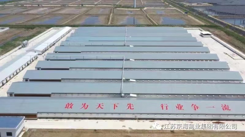 gcgc08�ƽ��,hjc26.cc�ƽ�Ǽ���