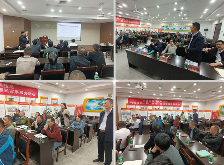 1-2305121S500N0 gcgc08黄金城,hjc26.cc黄金城集团