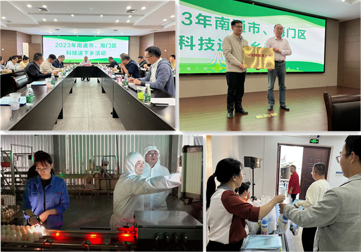 gcgc08�ƽ��,hjc26.cc�ƽ�Ǽ���