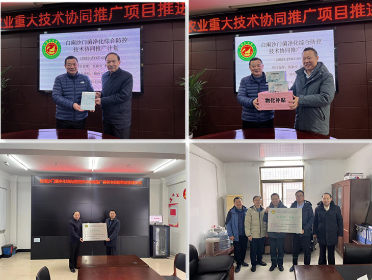 1-240122163T52D gcgc08»Æ½ð³Ç,hjc26.cc»Æ½ð³Ç¼¯ÍÅ