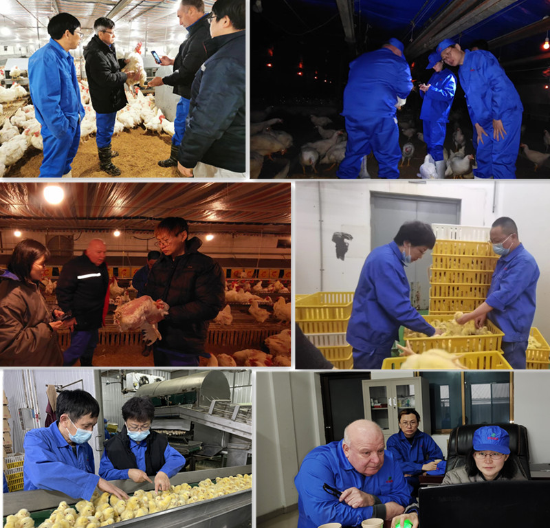 gcgc08�ƽ��,hjc26.cc�ƽ�Ǽ���