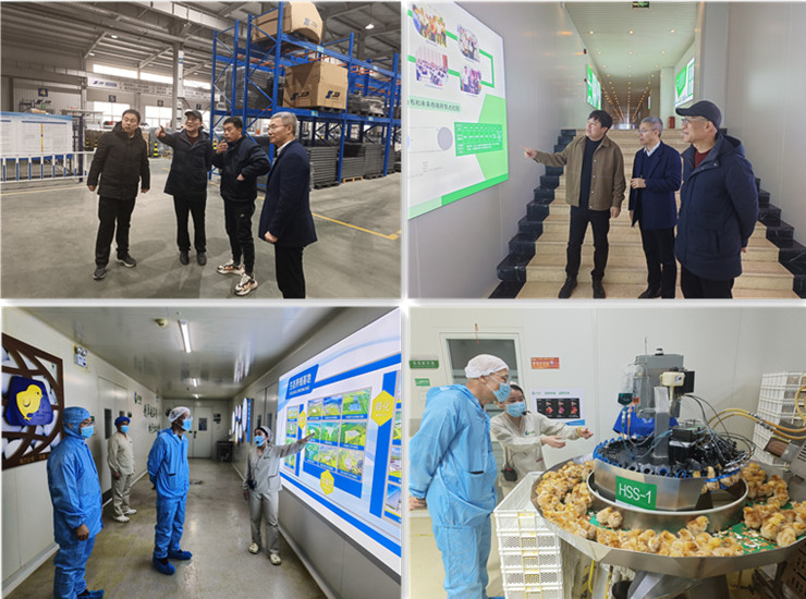 1-24022Q50536201 gcgc08»Æ½ð³Ç,hjc26.cc»Æ½ð³Ç¼¯ÍÅ