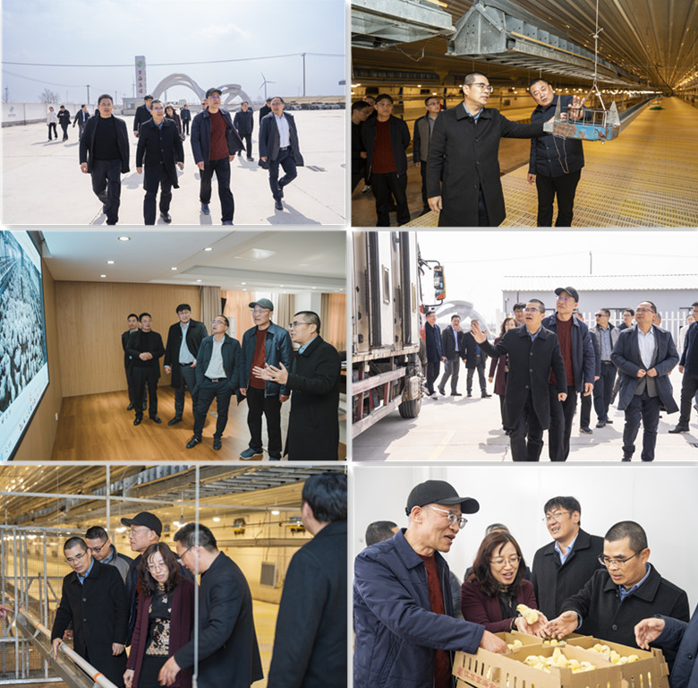 gcgc08�ƽ��,hjc26.cc�ƽ�Ǽ���