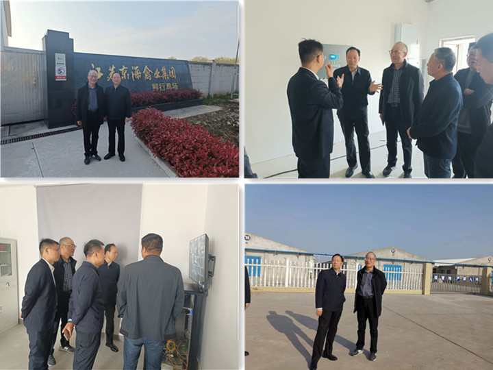 1-240411134241c5 gcgc08»Æ½ð³Ç,hjc26.cc»Æ½ð³Ç¼¯ÍÅ