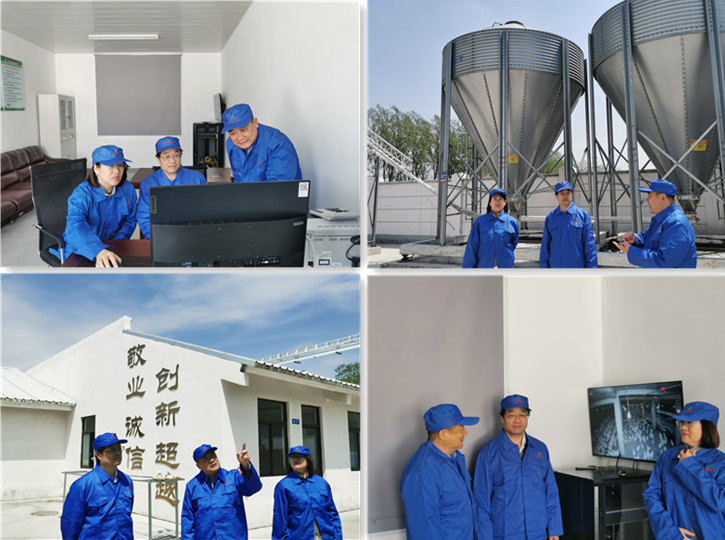 gcgc08�ƽ��,hjc26.cc�ƽ�Ǽ���