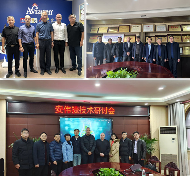 gcgc08�ƽ��,hjc26.cc�ƽ�Ǽ���