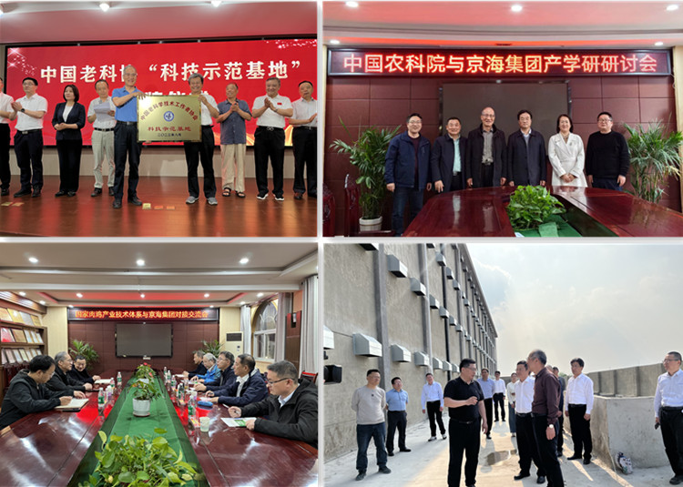 gcgc08�ƽ��,hjc26.cc�ƽ�Ǽ���