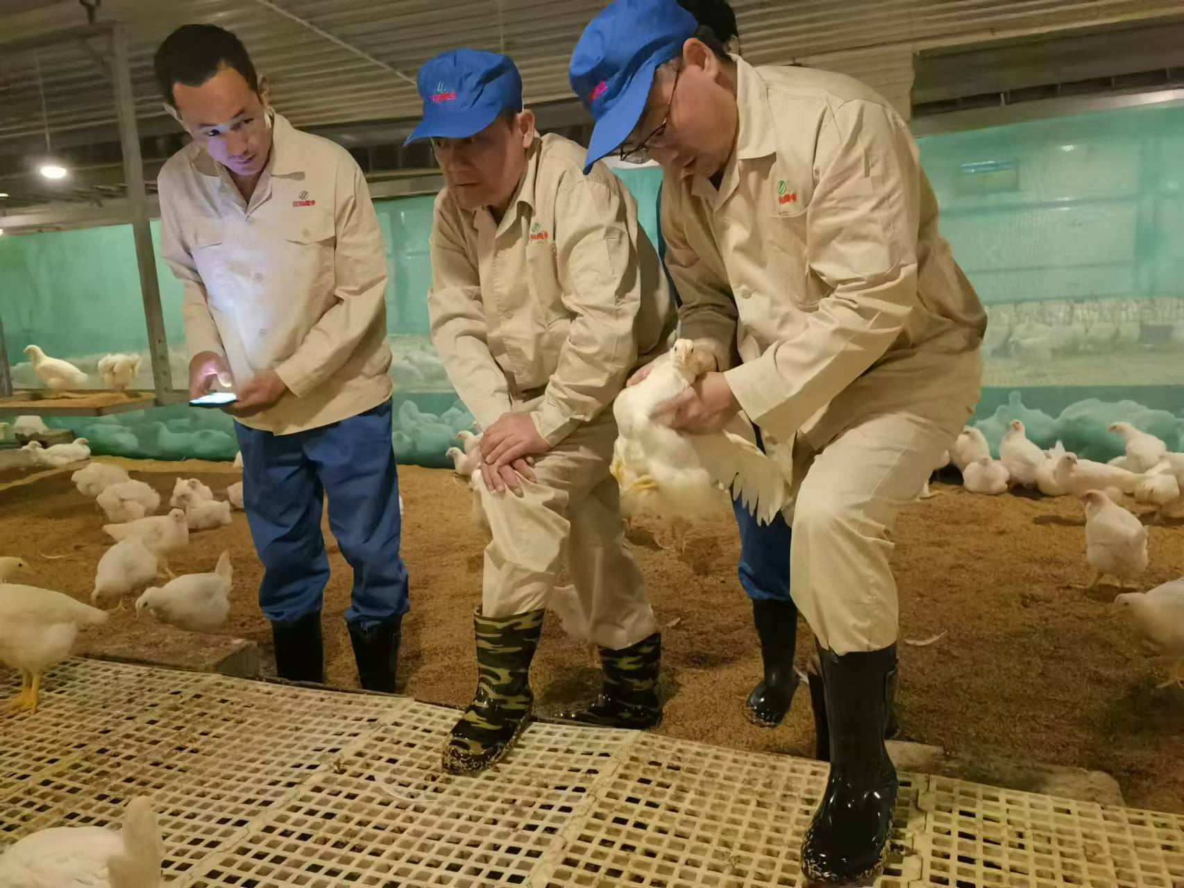 1-25032411103CA gcgc08»Æ½ð³Ç,hjc26.cc»Æ½ð³Ç¼¯ÍÅ