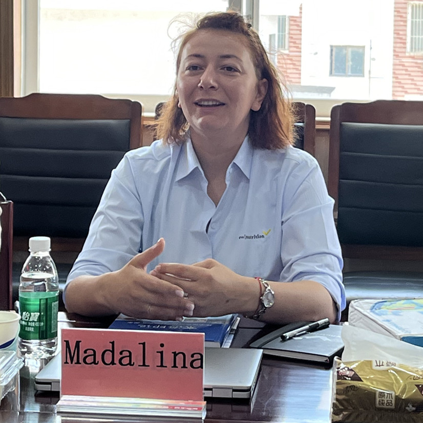 gcgc08�ƽ��,hjc26.cc�ƽ�Ǽ���