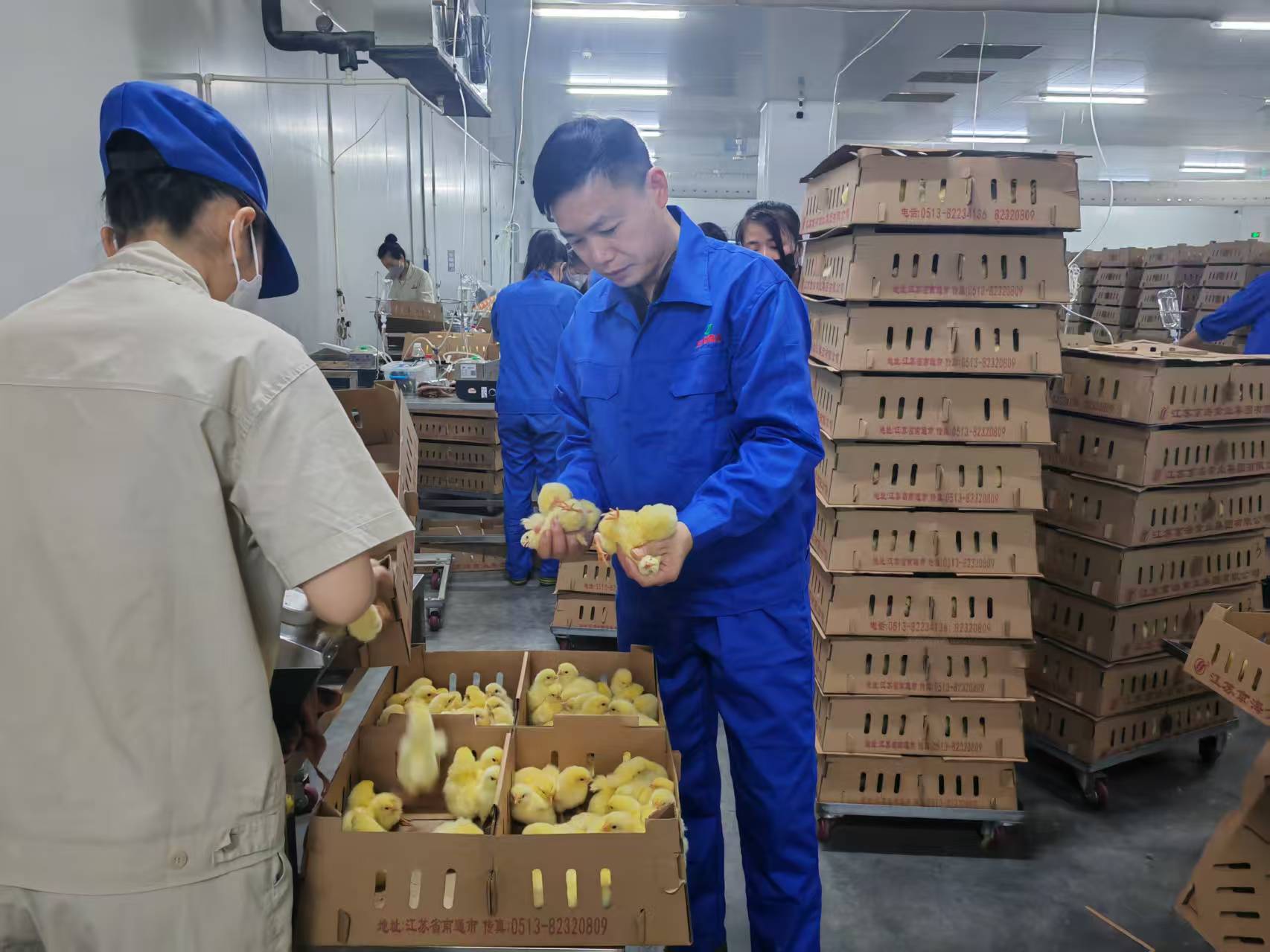 gcgc08�ƽ��,hjc26.cc�ƽ�Ǽ���