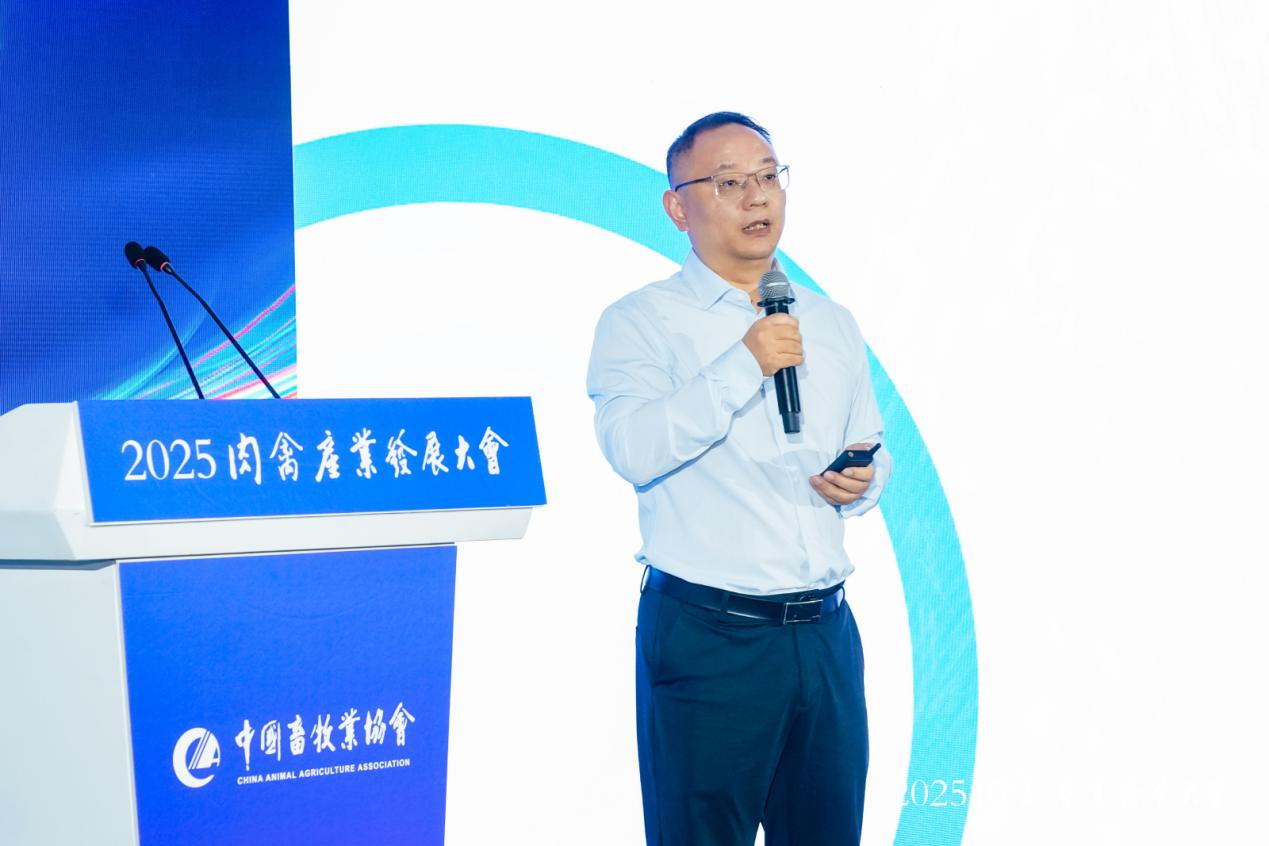 gcgc08�ƽ��,hjc26.cc�ƽ�Ǽ���