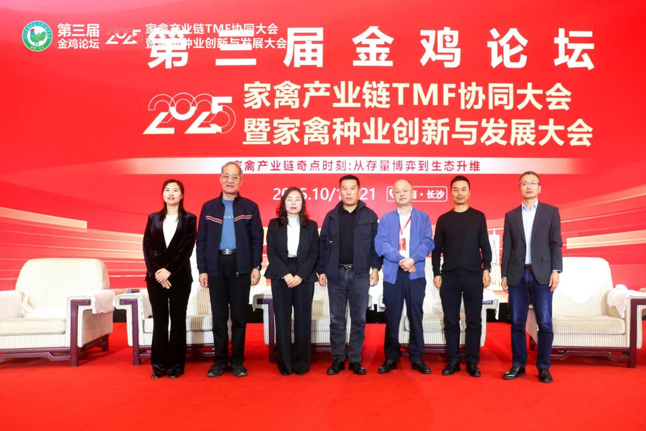 gcgc08�ƽ��,hjc26.cc�ƽ�Ǽ���