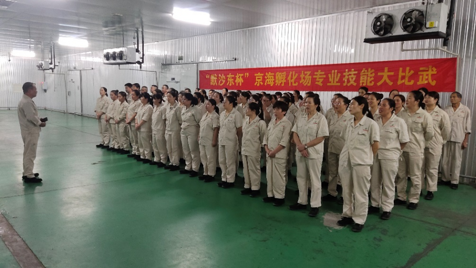 1-2511041F253100-lp Õ¹¼¼Êõ·ç²É ÖþÆ·Öʸù»ù--Hjc gcgc08¼¯ÍÅ׿´ú·õ»¯³§½øÐм¼Êõ´ó½»·æ