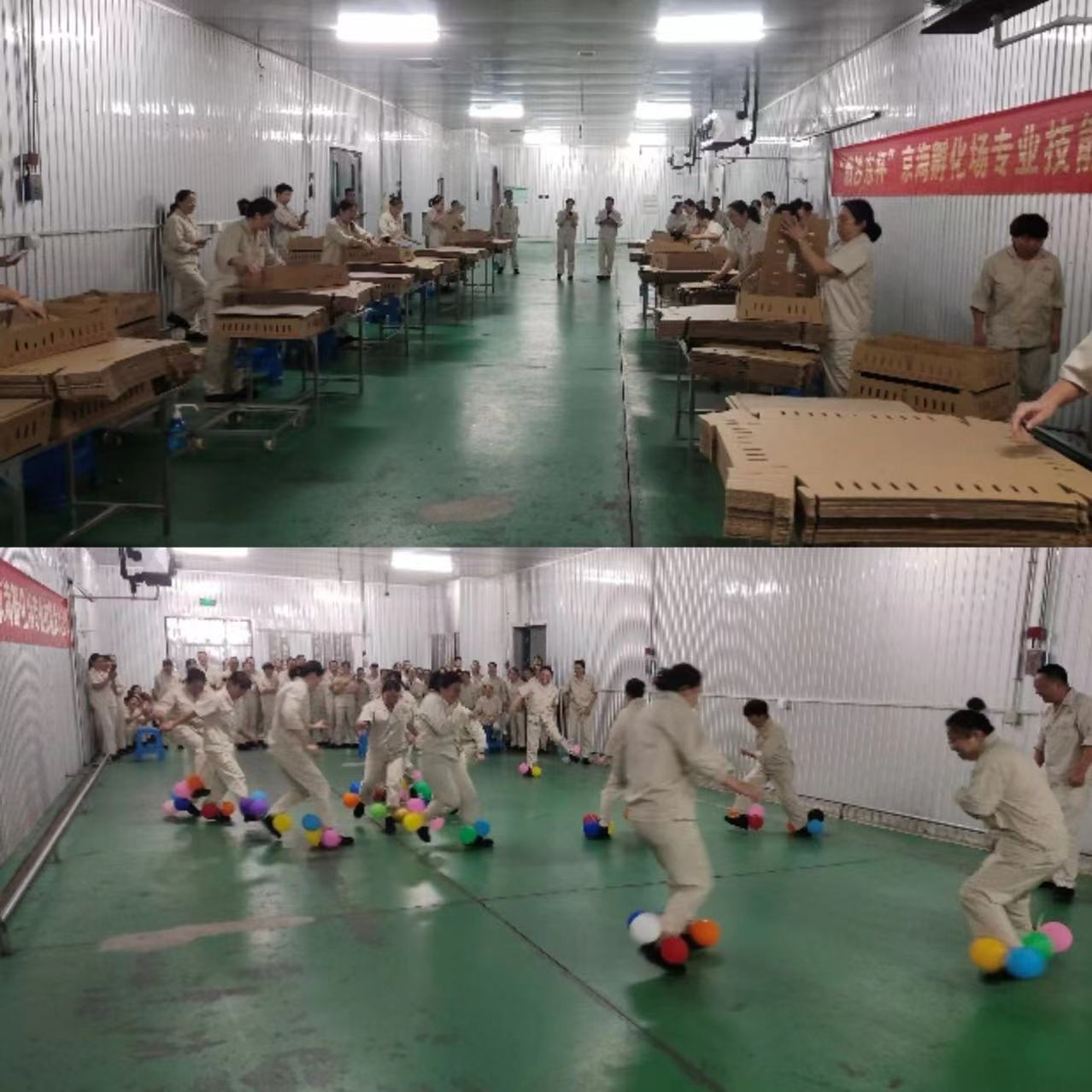 gcgc08�ƽ��,hjc26.cc�ƽ�Ǽ���