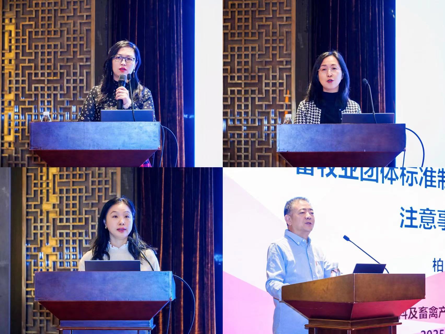 gcgc08�ƽ��,hjc26.cc�ƽ�Ǽ���