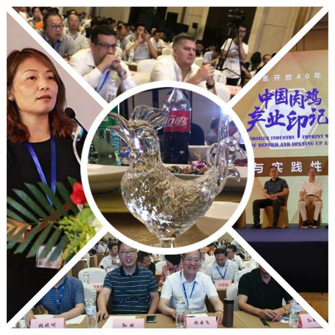 ע��: mmexport1563145732227