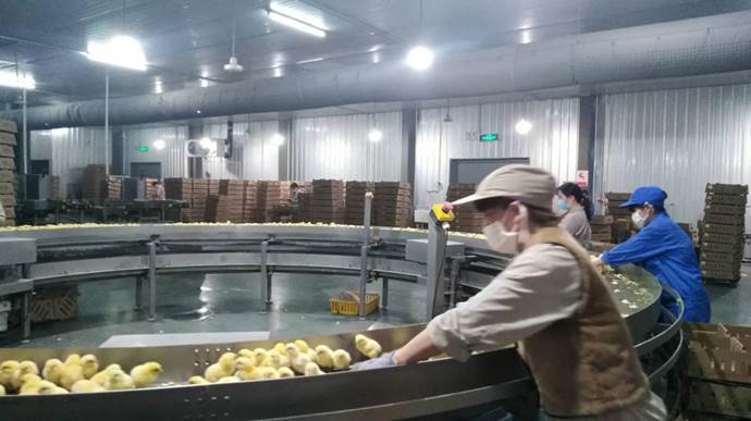 ע��: mmexport1555331329023