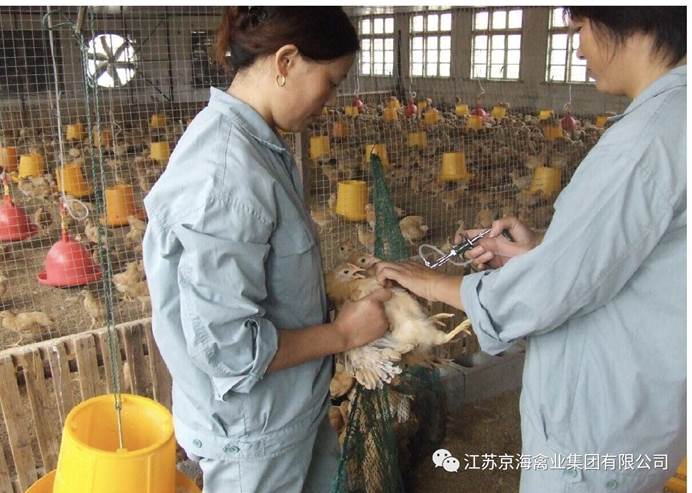 ע��: C:\Users\Administrator\Desktop\΢��ͼƬ_20200629141913.jpg